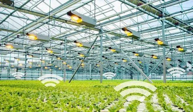 現代農業的新篇章 智慧農場、機器人、物聯網與人工智能的融合