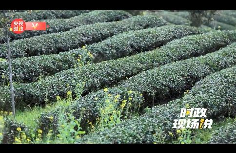 科特派 賦能農(nóng)業(yè)科技的堅(jiān)實(shí)力量