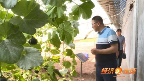 最美科技工作者 砥志研思的邱鵬程，信息技術(shù)領(lǐng)域的技術(shù)開發(fā)先鋒