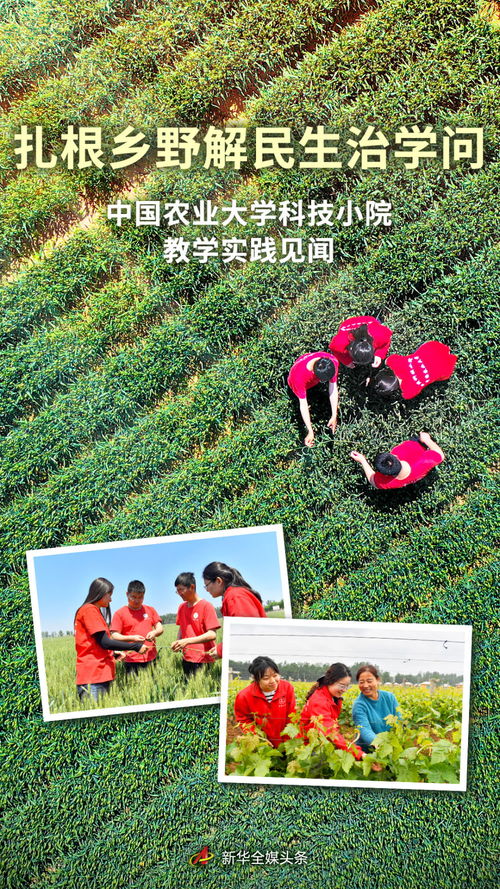 扎根鄉(xiāng)野解民生治學(xué)問 中國(guó)農(nóng)業(yè)大學(xué)科技小院教學(xué)實(shí)踐見聞